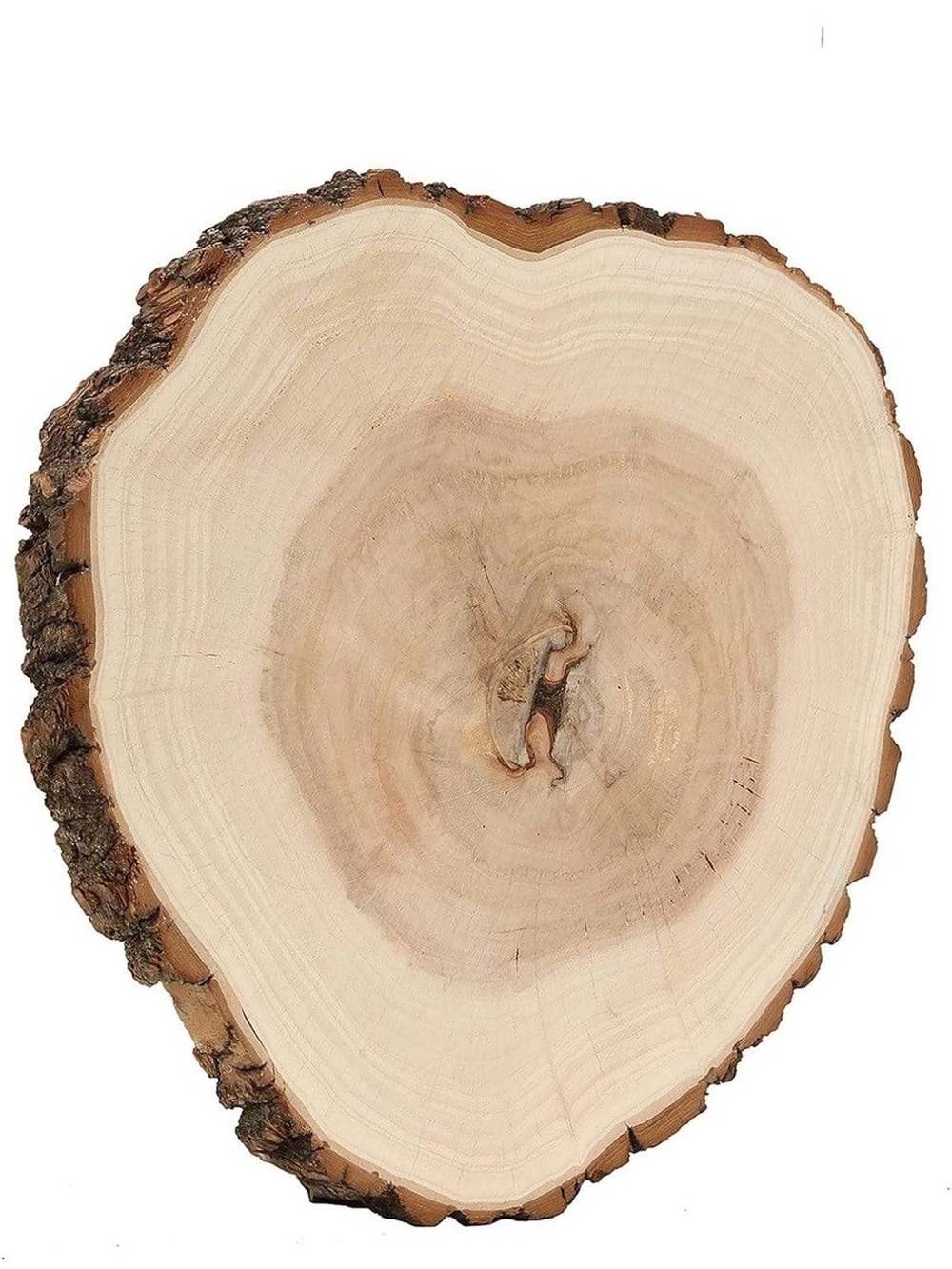 Natural Wood Slice Accent Tray - Light Brown Rustic Decor